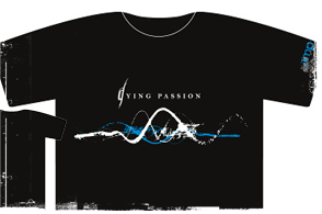 Men′s t-shirt Amplify